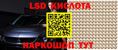 mdpv Заводоуковск