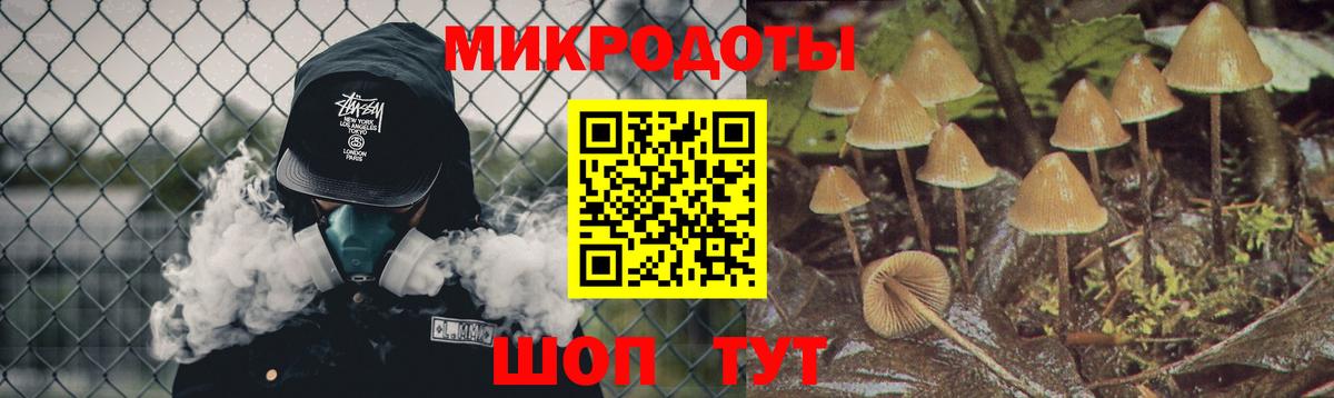 Галлюциногенные грибы MAGIC MUSHROOMS Новотроицк